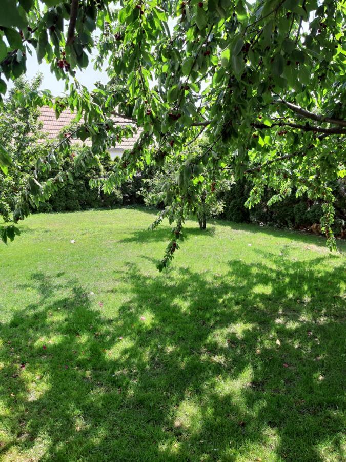 Eisenstadt Apartments ภายนอก รูปภาพ